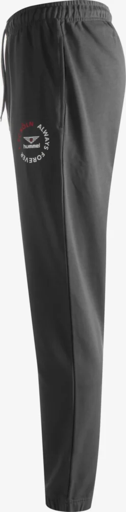 Hummel Pantalons Dentraînement Effilé Pantalon De Sport 1. FC Köln Homme Gris 5 Hummel Pantalons Dentraînement Effilé Pantalon De Sport 1. FC Köln Homme Gris -ADIDAS PERFORMANCE Soldes 02dd4ad55e4ea2ec96ac58304079db83 scaled