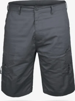 Shorts Regular Pantalon Outdoor Valley Homme Gris