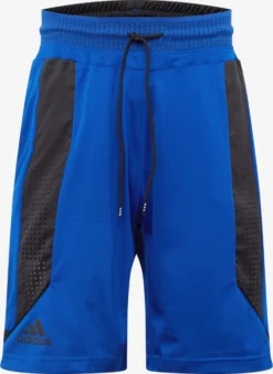 ADIDAS PERFORMANCE Shorts Loosefit Pantalon De Sport C365 Short Homme Bleu