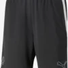 Puma Shorts Regular Pantalon De Sport Neymar Jr Creativity Homme Noir