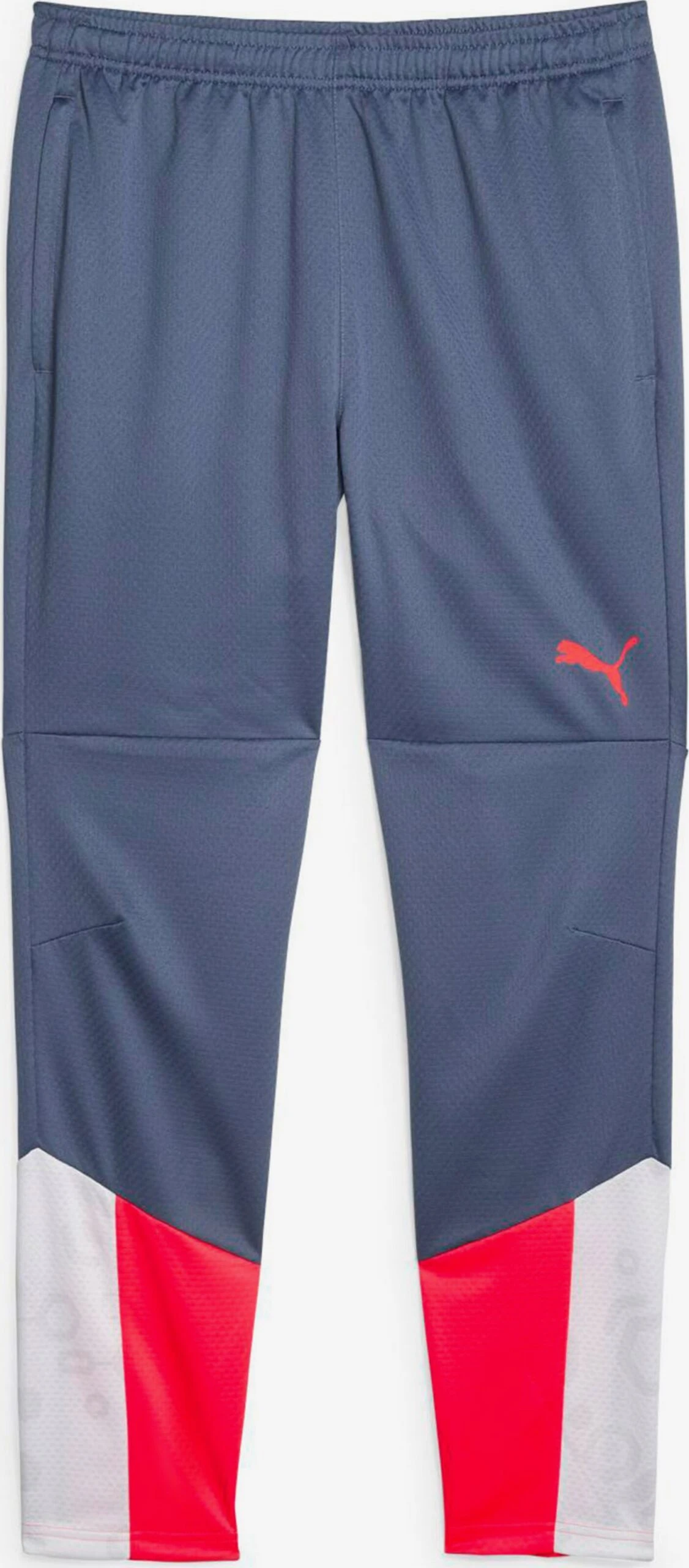 Puma Pantalons Dentraînement Coupe Slim Pantalon De Sport IndividualCUP Homme Bleu 1 Puma Pantalons Dentraînement Coupe Slim Pantalon De Sport IndividualCUP Homme Bleu