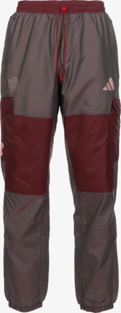 ADIDAS PERFORMANCE Pantalons Dentraînement Loosefit Pantalon De Sport James Harden Homme Gris