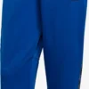 Adidas Sportswear Pantalons Dentraînement Regular Pantalon De Sport Tiro Homme Bleu