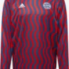 Adidas Sportswear Hauts Fonctionnels T-Shirt Fonctionnel FC Bayern Homme Bleu Marine / Rouge