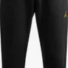 Jordan Pantalons Dentraînement Regular Pantalon De Sport Homme Noir
