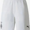Puma Shorts Regular Pantalon De Sport Borussia Homme Blanc
