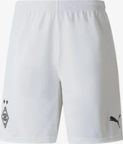 Puma Shorts Regular Pantalon De Sport Borussia Homme Blanc