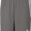 Puma Shorts Regular Pantalon De Sport Homme Gris