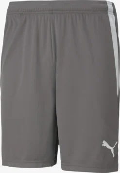 Puma Shorts Regular Pantalon De Sport Homme Gris