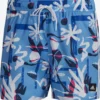 Adidas Sportswear Bermudas De Bain Boardshorts Homme Bleu Nuit / Bleu Roi / Bleu Clair