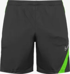 Nike Shorts Regular Pantalon De Sport Homme Gris Foncé
