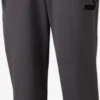 Puma Pantalons Dentraînement Regular Pantalon De Sport Homme Graphite