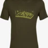 Icebreaker T-Shirts T-Shirt Fonctionnel Alps 3D Homme Vert