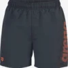 Arena Shorts & Slips De Bain Maillot De Bain De Sport Homme Anthracite