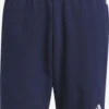 ADIDAS PERFORMANCE Shorts Regular Pantalon De Sport Tiro 23 Homme Bleu Foncé
