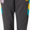 Adidas Sportswear Pantalons Dentraînement Effilé Pantalon De Sport FC Bayern München Homme Noir