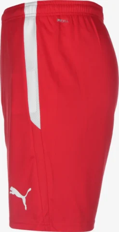 Puma Shorts Regular Pantalon De Sport TeamLiga Homme Rouge -ADIDAS PERFORMANCE Soldes 686f72a6d4e4727edce1f881719530e4 scaled