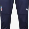 Puma Collants Skinny Pantalon De Sport Homme Bleu / Marine