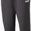Puma Pantalons Dentraînement Regular Pantalon De Sport Borussia Mönchengladbach Homme Gris Foncé