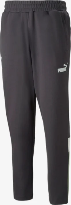 Puma Pantalons Dentraînement Regular Pantalon De Sport Borussia Mönchengladbach Homme Gris Foncé