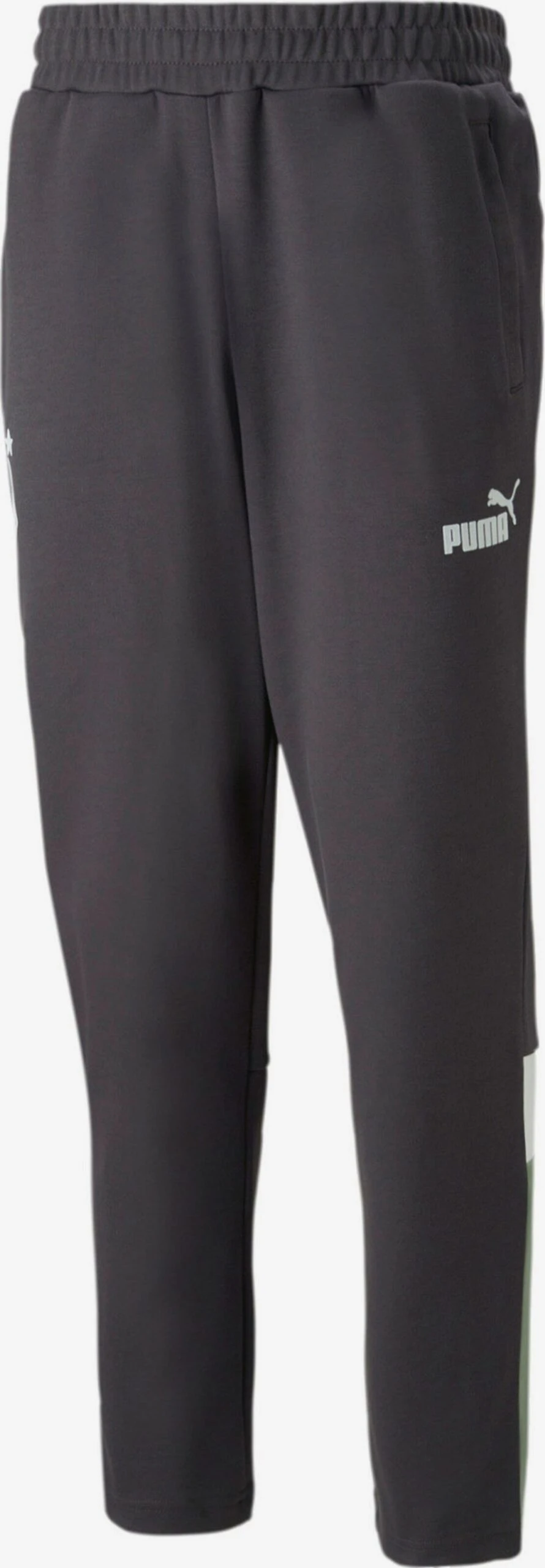 Puma Pantalons Dentraînement Regular Pantalon De Sport Borussia Mönchengladbach Homme Gris Foncé 1 Puma Pantalons Dentraînement Regular Pantalon De Sport Borussia Mönchengladbach Homme Gris Foncé