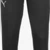 Puma Pantalons Dentraînement Effilé Pantalon De Sport BBall Blank Homme Noir