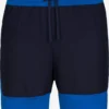 Icebreaker Pantalons De Sport Regular Pantalon De Sport M ZoneKnit Shorts Homme Bleu / Noir