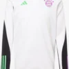ADIDAS PERFORMANCE Hauts Fonctionnels T-Shirt Fonctionnel FC Bayern München Tiro 23 Homme Blanc