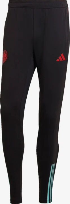 ADIDAS PERFORMANCE Pantalons Dentraînement Regular Pantalon De Sport Kolumbien Homme Noir