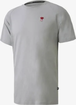 Puma T-Shirts T-Shirt Fonctionnel AC Milan Homme Gris