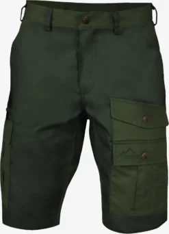 Shorts Regular Pantalon Outdoor Ahvaz Homme Kaki / Olive
