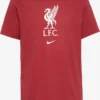 Nike T-Shirts T-Shirt Fonctionnel FC Liverpool Homme Rouge Cerise