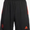 ADIDAS PERFORMANCE Shorts Regular Pantalon De Sport Manchester United Homme Noir