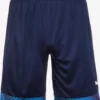 Puma Shorts Regular Pantalon De Sport Cup Homme Bleu / Bleu Foncé