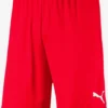 Puma Shorts Regular Pantalon De Sport Homme Rouge