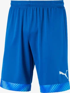 Puma Shorts Regular Pantalon De Sport Homme Bleu