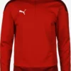 Puma Hauts Fonctionnels T-Shirt Fonctionnel Homme Rouge / Rouge Clair