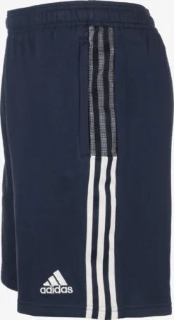Adidas Sportswear Shorts Regular Pantalon De Sport Tiro 21 Homme Bleu Foncé -ADIDAS PERFORMANCE Soldes b6c2993219ee97bce0aa1432ace35b8a scaled