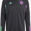 ADIDAS PERFORMANCE Hauts Fonctionnels T-Shirt Fonctionnel FC Bayern Homme Noir