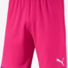 Puma Shorts Regular Pantalon De Sport Homme Rose