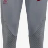 Nike Pantalons Dentraînement Effilé Pantalon De Sport Liverpool Homme Gris / Gris Foncé