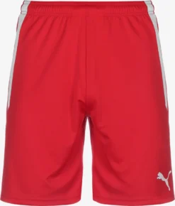 Puma Shorts Regular Pantalon De Sport TeamLiga Homme Rouge