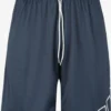 ADIDAS PERFORMANCE Shorts Loosefit Pantalon De Sport Homme Bleu Foncé