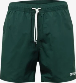 Oakley Bermudas De Bain Boardshorts ALL DAY Homme Vert