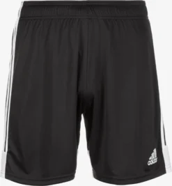 Adidas Sportswear Shorts Regular Pantalon De Sport Tastigo Homme Noir
