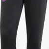 ADIDAS PERFORMANCE Pantalons Dentraînement Regular Pantalon De Sport FC Bayern München Homme Noir