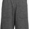 Icebreaker Shorts Regular Pantalon De Sport Homme Gris Chiné
