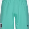 Puma Shorts Regular Pantalon De Sport Österreich Homme Menthe