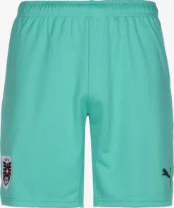Puma Shorts Regular Pantalon De Sport Österreich Homme Menthe