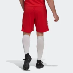 ADIDAS PERFORMANCE Shorts Regular Pantalon De Sport Ajax Amsterdam Homme Rouge -ADIDAS PERFORMANCE Soldes ec00e5a770dddd1ef33a47457b02b0f3